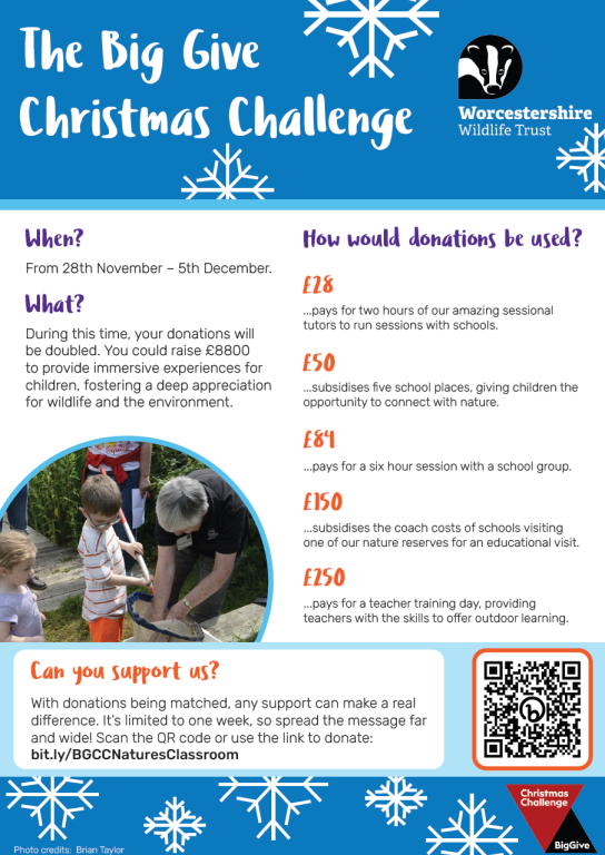 Christmas Challenge flyer