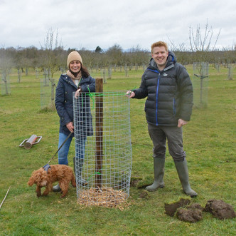Planting trees