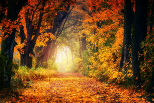 Tidy up your IT inventory this autumn