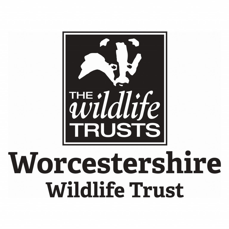 Worcestershire Wildlife Trust logo