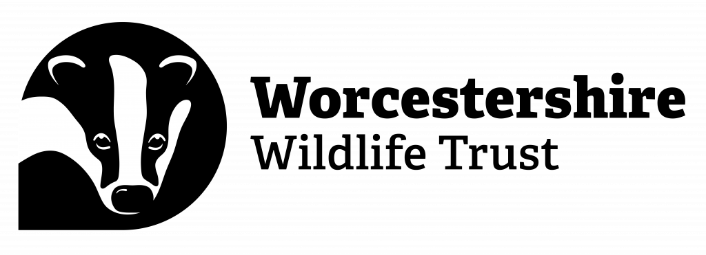 Worcestershire Wildlife Trust logo